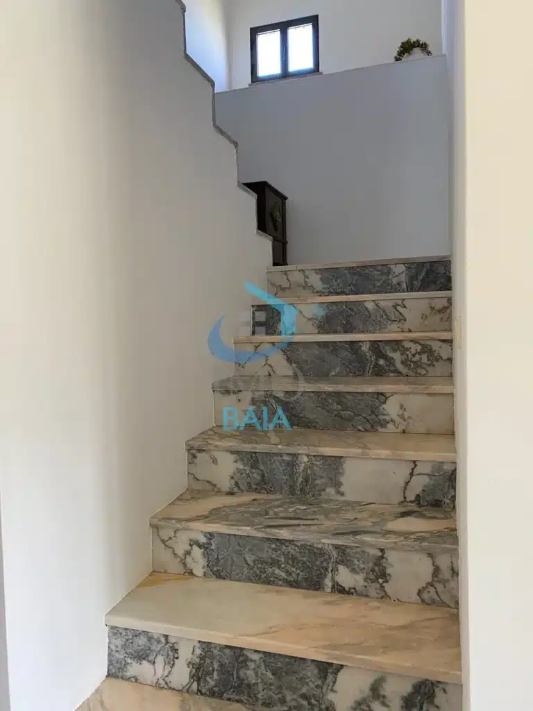 WhatsApp-Image-2026-01-13-at-17.17.41