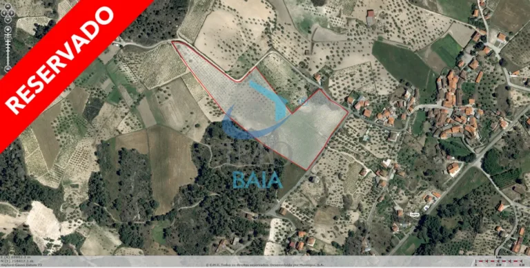 t_028lagoas-2-1-1
